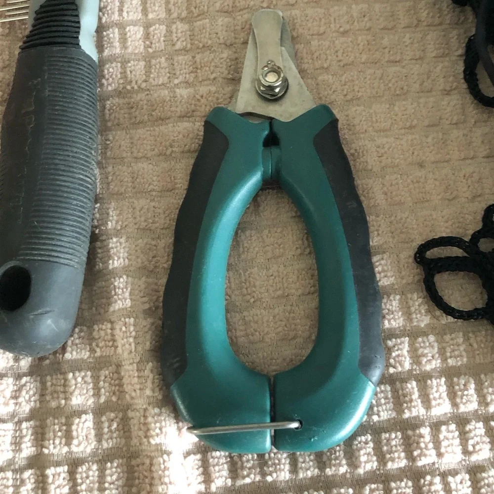 Dog supplies